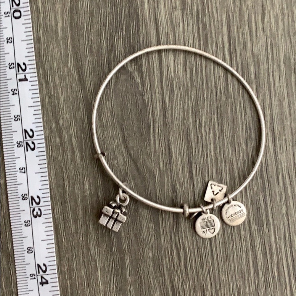 Alex and Ani gift charm bangle